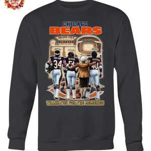 Chicago Bears 2025 Thank You For The Memories 2D T-Shirt